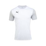 Puma Teamgoal Erkek Futbol Tişörtü 65648404 Beyaz