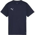 Puma Teamgoal Jersey Erkek Futbol Antrenman Tişörtü 65863606 Lacivert - 2XL