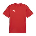 PUMA Teamgoal Jersey erkek tişörtü