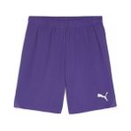 Puma Teamgoal Shorts Erkek Futbol Antrenman Şortu 70575210 Mor
