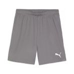 Puma Teamgoal Shorts Erkek Futbol Antrenman Şortu 70575213 Gri