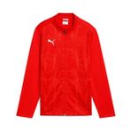 Puma Teamgoal Training Jacket Gpc Erkek Futbol Antrenman Ceketi 66006901 Renkli - Kırmızı