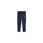 Puma Teamgoal Training Pant Erkek Futbol Antrenman Eşofman Altı Lacivert 65863906
