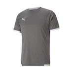 Puma Teamliga Jersey Erkek Futbol Forması 70491713 Gri - 3XL