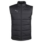 Puma Teamliga Vest Jacket Erkek Günlük Yelek 65796803 Siyah 84893901