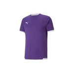 Puma Teamliga25 Futbol Forma 704917-10