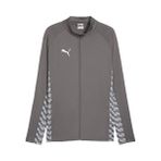 Puma TEAMLIGA26 Training Jacket Erkek Futbol Kamp Ceketi 65972713 Gri - 2XL