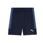 Puma Teamliga26 Training Shorts Erkek Futbol Antrenman Şortu 65973006 Lacivert