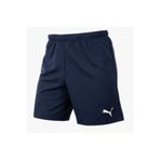 Puma Teamrise Shorts Günlük Kullanıma Uygun Erkek Spor Antrenman Şortu