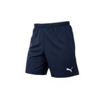 Puma TeamRise Şort Günlük Kullanıma Uygun Erkek Spor Antrenman Şortu