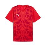 Puma Teamultimate Jersey Erkek Futbol Maç Forması 70628001 Beyaz - XL