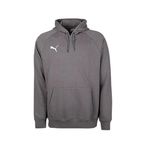 Puma Turkey Hoodie Türkiye Futbol Antrenman Sweatshirt 60546903 Gri L