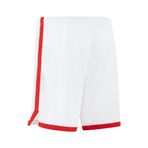 PUMA Türkiye Erkek Game Basketbol Şortu