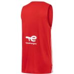 Puma Türkiye Erkek V-Yaka Basketbol Forması - 2XL - Renkli