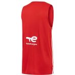 Puma Türkiye Erkek V-Yaka Basketbol Forması - 3XL - Renkli