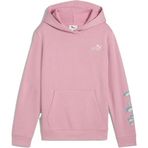 Puma Tweenerverse Çocuk Kapüşonlu Sweatshirt, 13-14 Yaş, 57-688504-4, Pembe, kız-çocuk