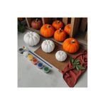 Pumpkin kabak 3 boy büyük orta ve küçük boy boyama seti taş tozu halloween