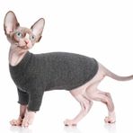 PUMYPOREITY Sphynx tüysüz kedi pamuk kıyafet kazak sevimli balıkçı yaka nefes alan tişörtler yuvarlak yaka yelek kedi gömlekleri yumuşak kıyafet (siyah, XL)