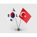 Punto Dizayn Güney Kore Bayrağı Türk Bayrağı Ikili Saten Masa Bayrağı Takımı