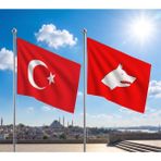 Punto Dizayn Kırmızı Beyaz Göktürk Bayrağı ve Alpaka Kumaş Türk Bayrağı 2'li Set 70X105CM