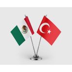 Punto Dizayn Meksika Bayrağı ve Türk Bayrağı Ikili Saten Masa Bayrağı Takımı