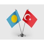 Punto Dizayn Palau ve Türkiye Bayrağı Ikili Saten Masa Bayrağı Takımı