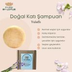 Pure By Lotus 100 gr Yulaflı Katı Şampuan