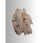 PureCanpati Kalamar Kemiği Subye Kemiği Kırıklı ve Ufak Boy Kalamar Kemiği 100 Gram