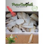 Purecanpati Kırıklı Iri Boy Kalamar Kemiği 100 gr