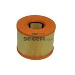 Purflux Bmw E87 E90 E93 E92 Hava Filtresi