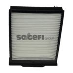 Purflux Zengemtx Polen Filtresi Renault Megane Ii 02- Scenic Ii 02- O.e