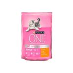 Purina Junior Yavru Kedi Maması 800 Gr