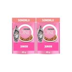PURINA ONE Somonlu Yavru Kediler için Yaş Kedi Maması 85 Gram 2li paket