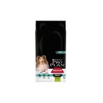Purina Pro Plan Medium Adult Kuzu Etli Hassas Yetişkin Köpek Maması 14 kg