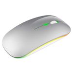 PUSOKEI Kablosuz fare, m 1200 DPI 2.4 G şarj edilebilir kablosuz USB oyun faresi, renkli LED ışıklı, 98/Me/2000/XP//Win 7/Win8/10/ OS vs. için (gümüş)