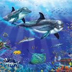 Puzz Puzzle Akvaryum 500 Parça Puzzle