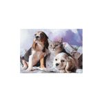 Puzz Puzzle Kedi Köpek Kardeşliği 1000 Parça Puzzle