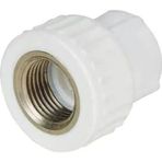 Pvc Boru PPRC İç Dişli Rekor 25x3/4'' 10 Adet