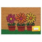 PVC Tabanlı 40x60 cm Koko Saksı Baskılı Paspas