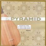 PYRAMID BAĞLAMA TELİ 020 UZUN SAP