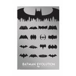 Pyramid International Batman Evolution Poster