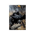 Pyramid International Batman V Superman Savaş Takım Maxi Poster, Ahşap, Çok Renkli
