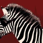 Pyramid International Its A Wild Life Troy Maxi Poster