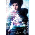 Pyramid International Maxi Poster Ghost In The Shell One Sheet Renkli One Size