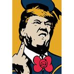 Pyramid International Maxi Tvboy Donald Poster