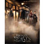 Pyramid International Mini Fantastic Beasts Magical Group Poster