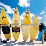 Pyramid International Sun Sea & Surf Maxi Poster