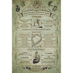 Pyramid International Wizarding World Harry Potter 'Hogwarts Liste Schole' Maxi Poster, 61 x 91,5 cm