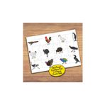 PZ126 Kuş Türleri Kolyajı Çocuklara Özel Puzzle Yapboz Tablo