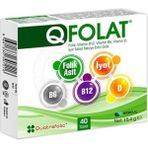 Q Folat Vitamin B12 B6 D İyot 40 Tablet